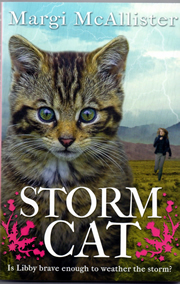 cover -Storm Cat!